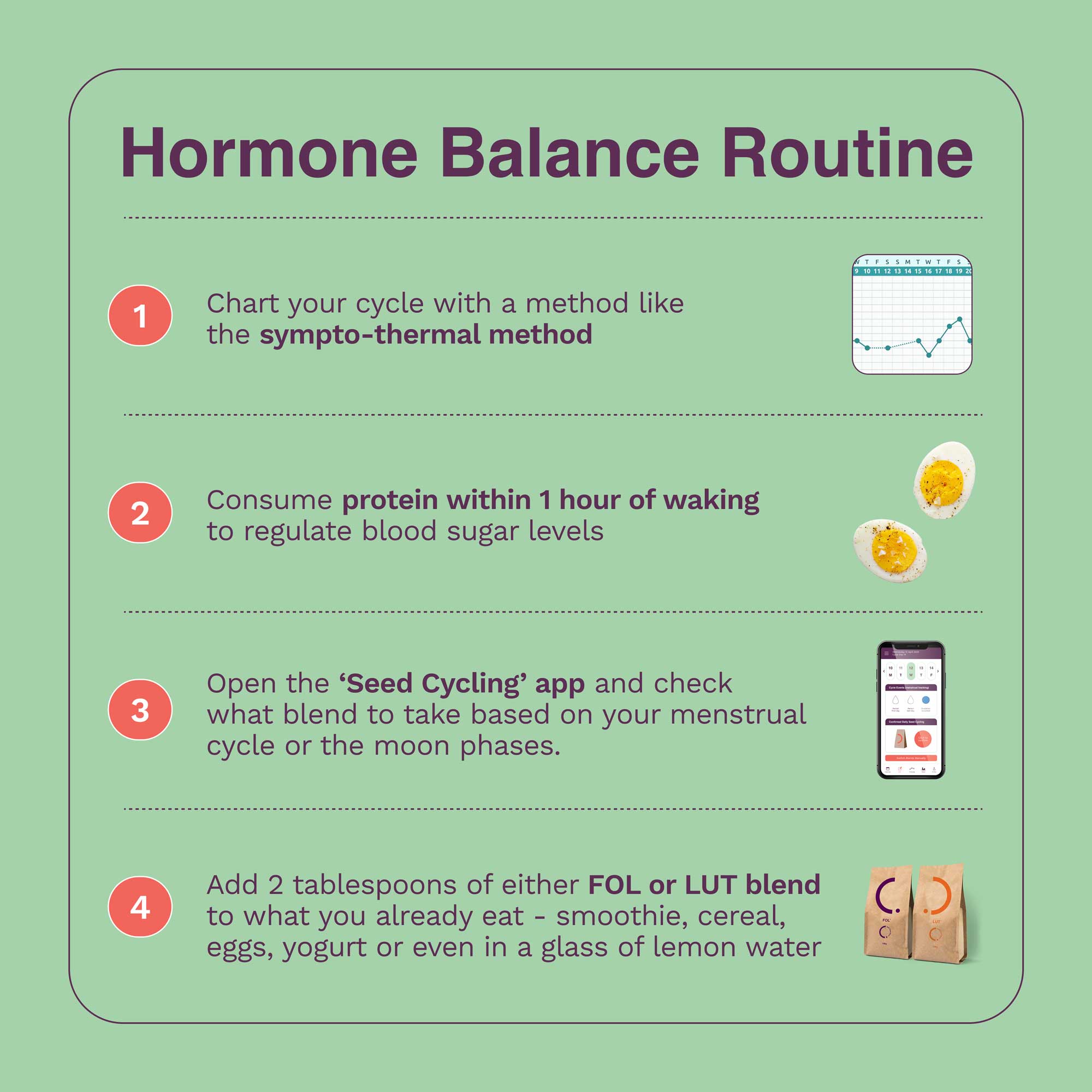 Conjunto de mezcla de ciclo de semillas