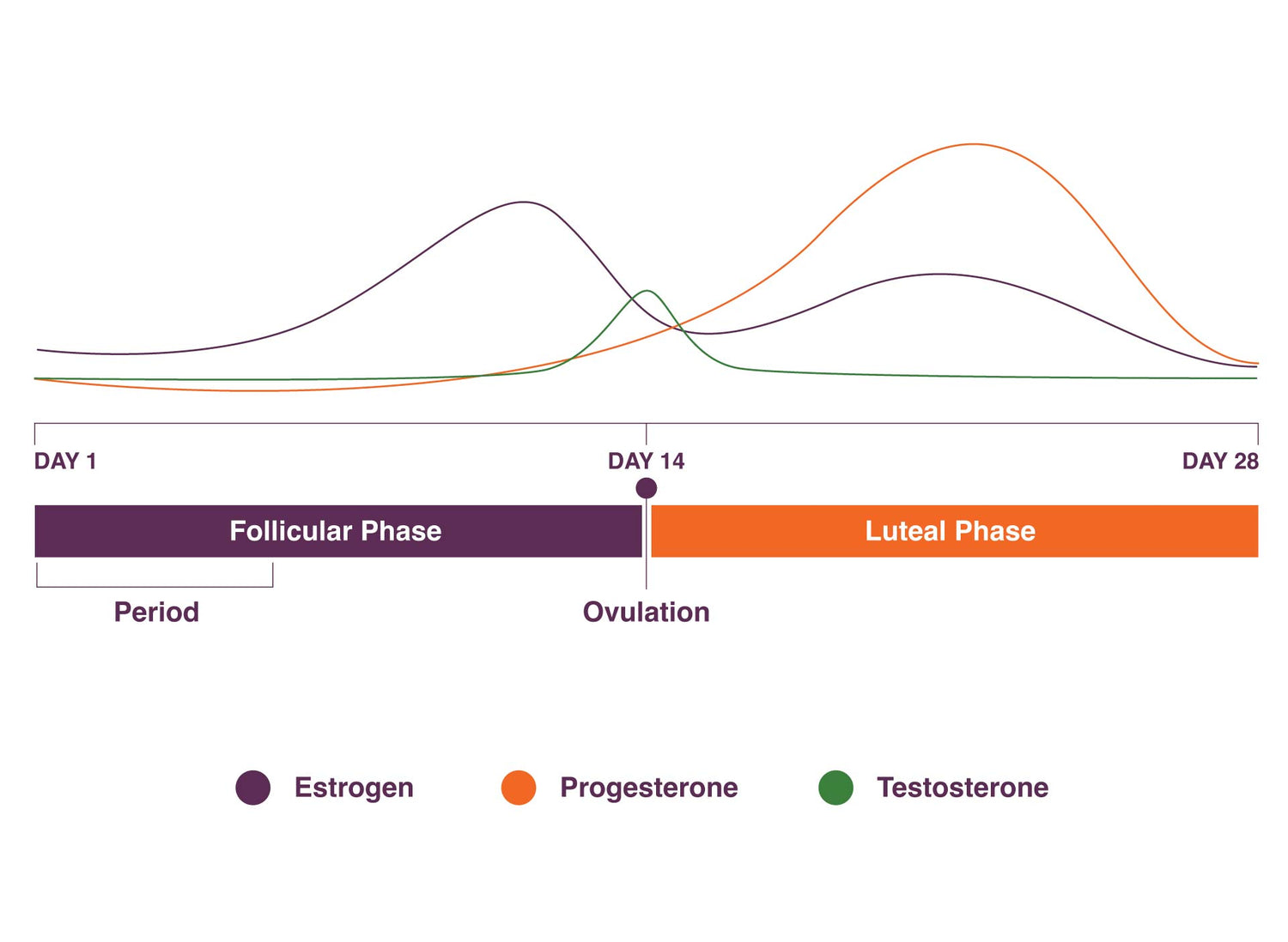 Seed Cycle Blend Female Sex Hormones Graph