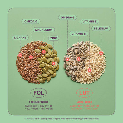 Conjunto de mezcla de ciclo de semillas